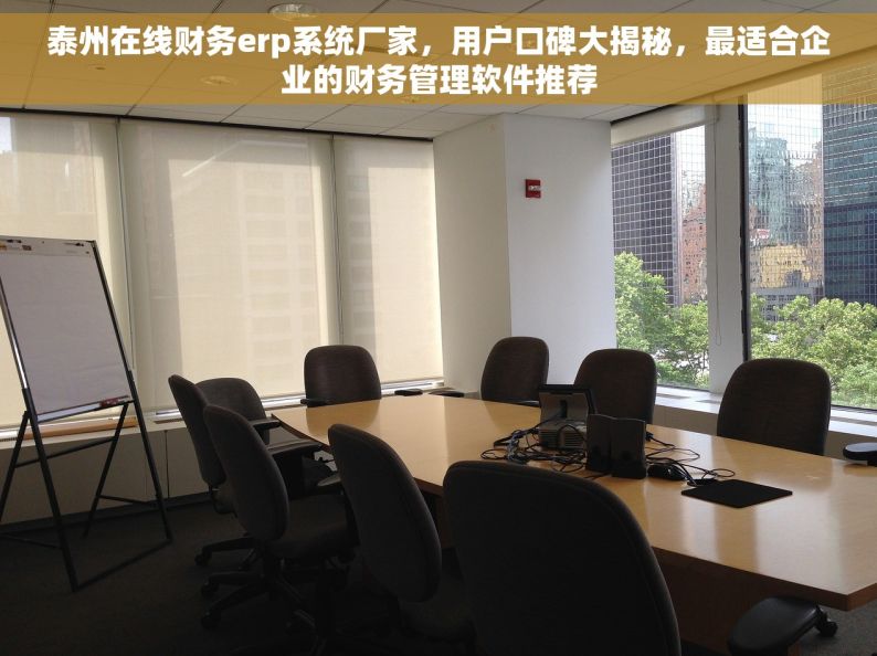 泰州在线财务erp系统厂家，用户口碑大揭秘，最适合企业的财务管理软件推荐