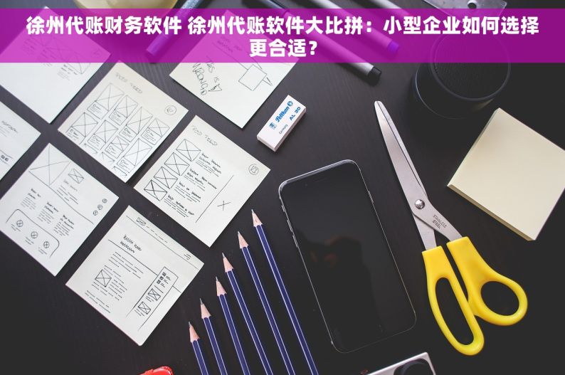 徐州代账财务软件 徐州代账软件大比拼：小型企业如何选择更合适？