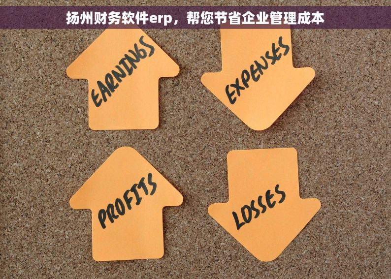 扬州财务软件erp，帮您节省企业管理成本