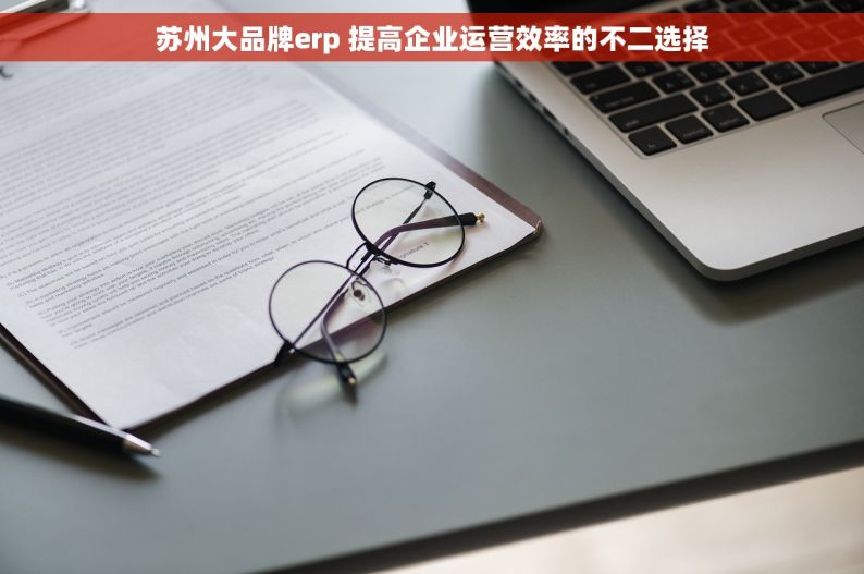 苏州大品牌erp 提高企业运营效率的不二选择