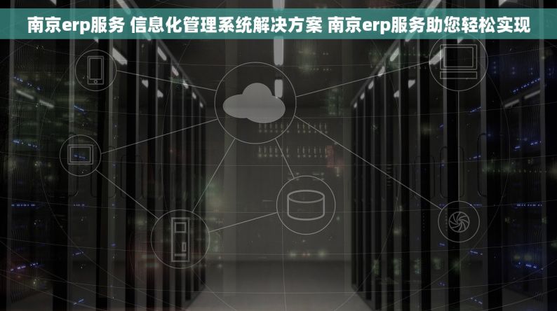 南京erp服务 信息化管理系统解决方案 南京erp服务助您轻松实现