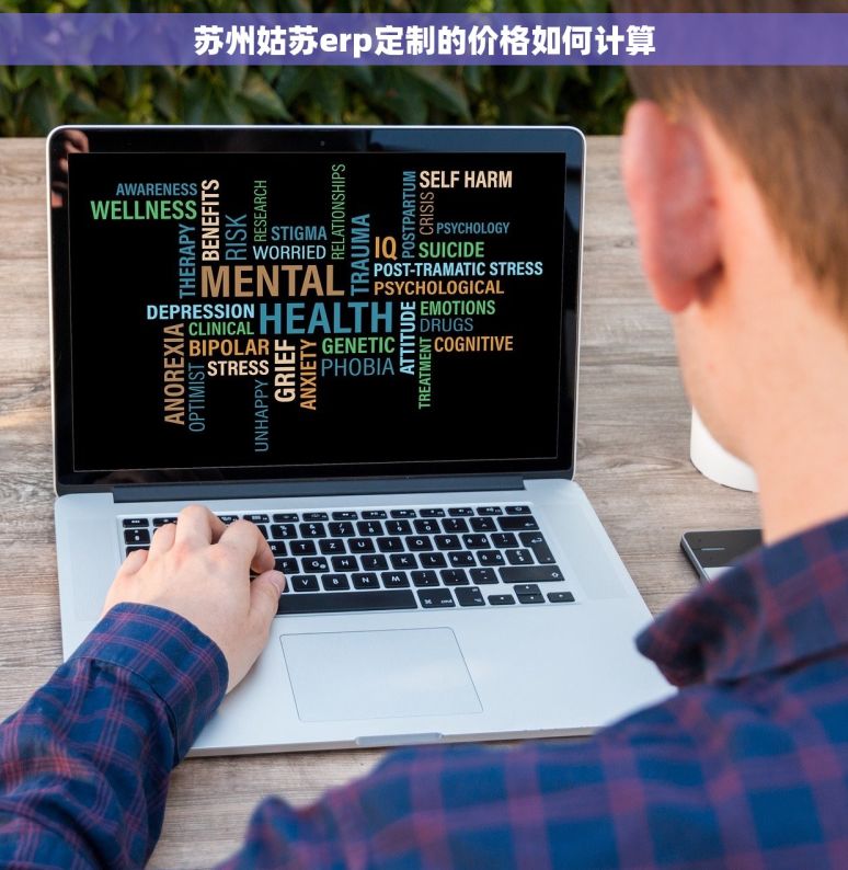 苏州姑苏erp定制的价格如何计算