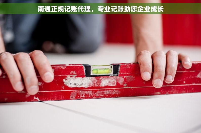 南通正规记账代理，专业记账助您企业成长