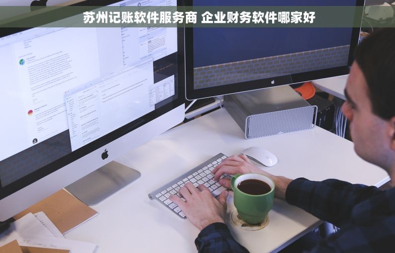  苏州记账软件服务商 企业财务软件哪家好
