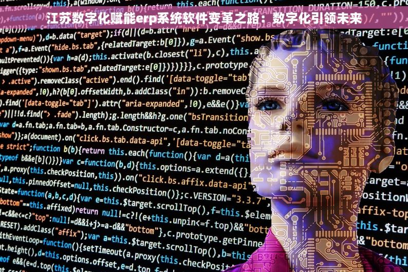江苏数字化赋能erp系统软件变革之路：数字化引领未来