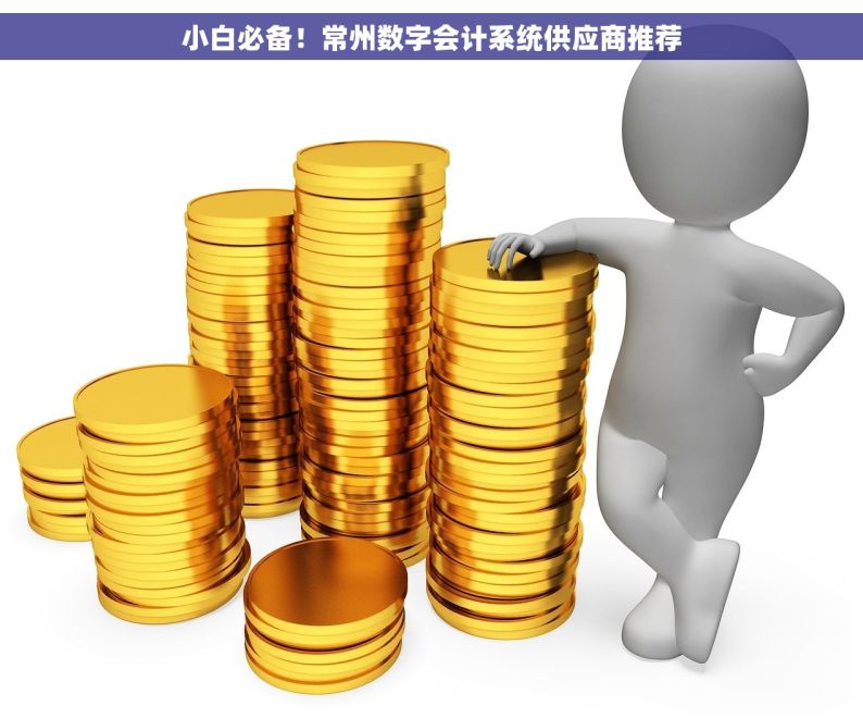 小白必备！常州数字会计系统供应商推荐