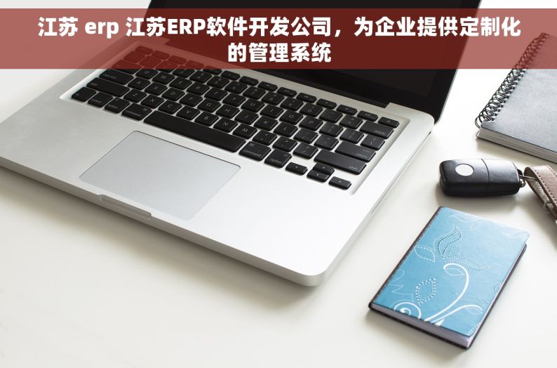 江苏 erp 江苏ERP软件开发公司，为企业提供定制化的管理系统