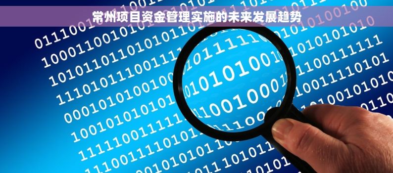 常州项目资金管理实施的未来发展趋势