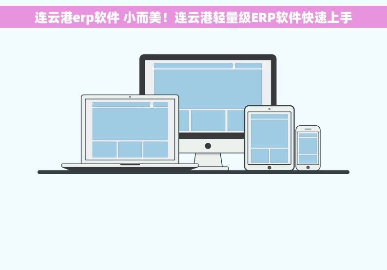 连云港erp软件 小而美！连云港轻量级ERP软件快速上手