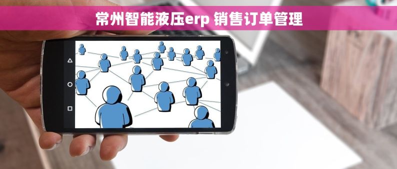 常州智能液压erp 销售订单管理