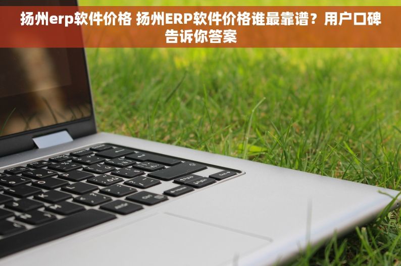 扬州erp软件价格 扬州ERP软件价格谁最靠谱？用户口碑告诉你答案