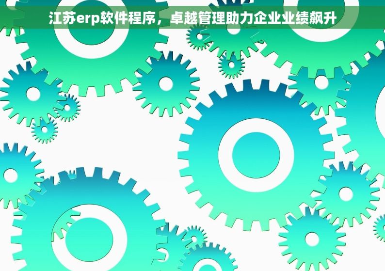 江苏erp软件程序，卓越管理助力企业业绩飙升