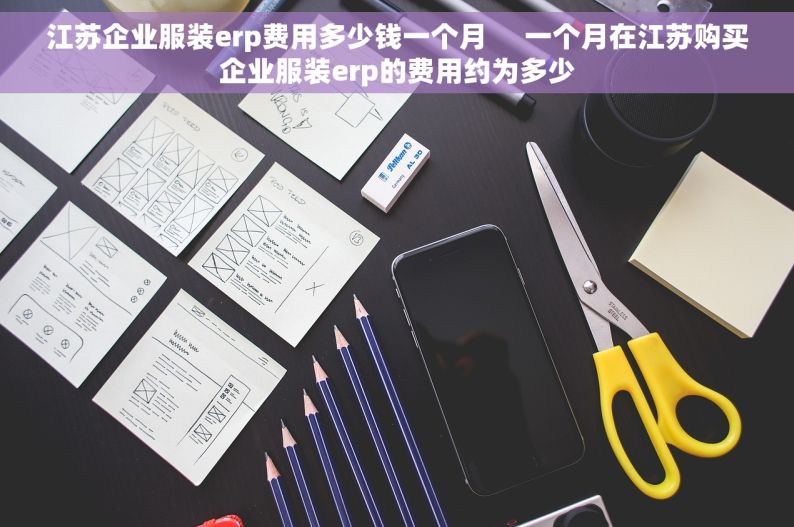 江苏企业服装erp费用多少钱一个月     一个月在江苏购买企业服装erp的费用约为多少