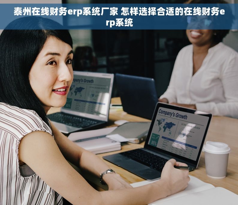 泰州在线财务erp系统厂家 怎样选择合适的在线财务erp系统