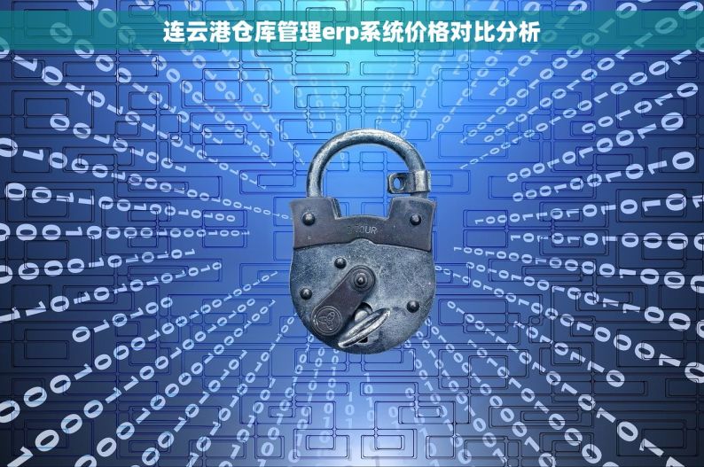 连云港仓库管理erp系统价格对比分析