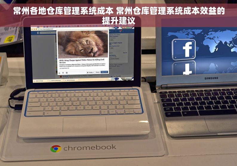 常州各地仓库管理系统成本 常州仓库管理系统成本效益的提升建议