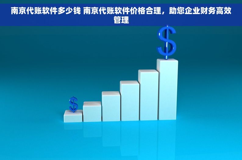 南京代账软件多少钱 南京代账软件价格合理，助您企业财务高效管理
