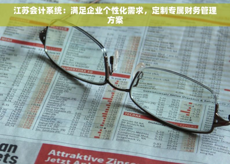 江苏会计系统：满足企业个性化需求，定制专属财务管理方案