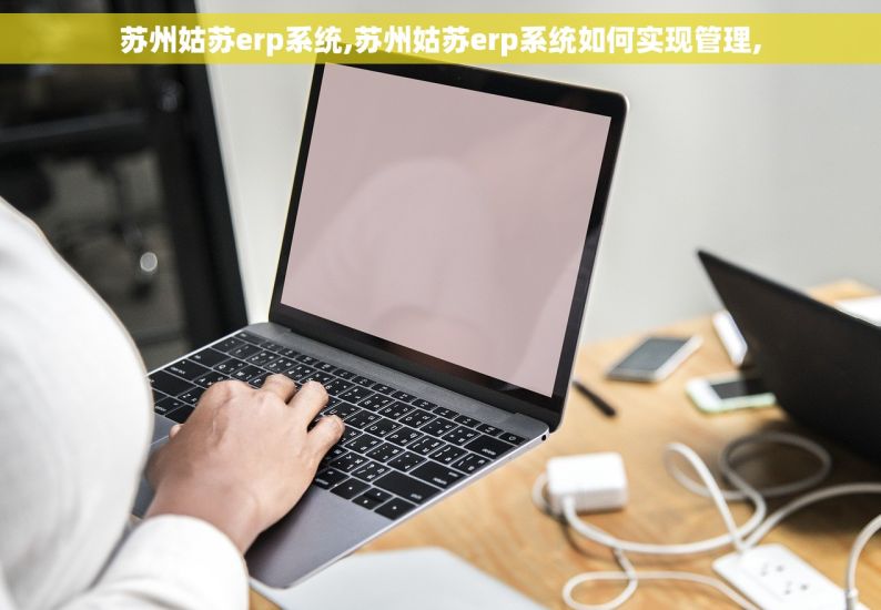 苏州姑苏erp系统,苏州姑苏erp系统如何实现管理,