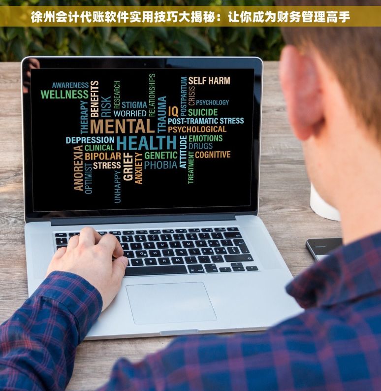 徐州会计代账软件实用技巧大揭秘：让你成为财务管理高手