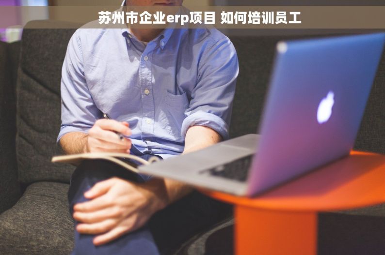     苏州市企业erp项目 如何培训员工