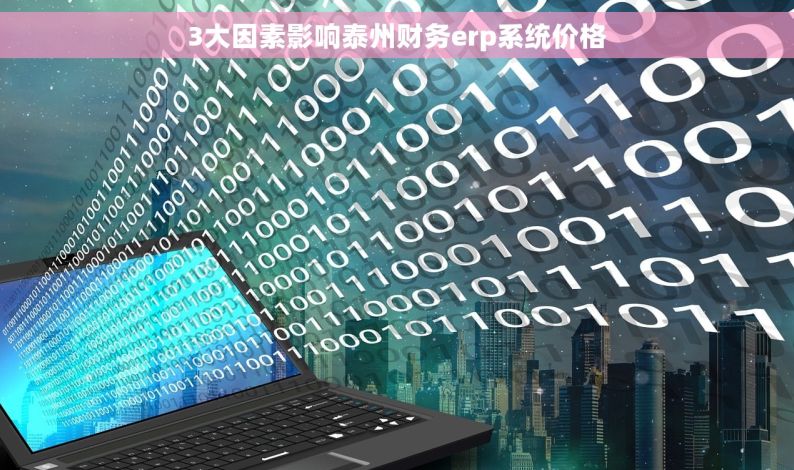 3大因素影响泰州财务erp系统价格