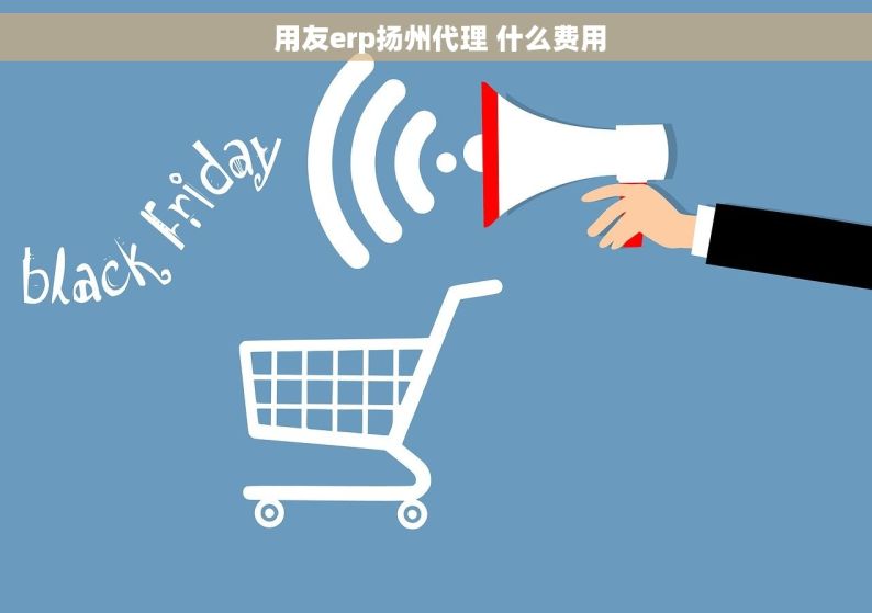  用友erp扬州代理 什么费用