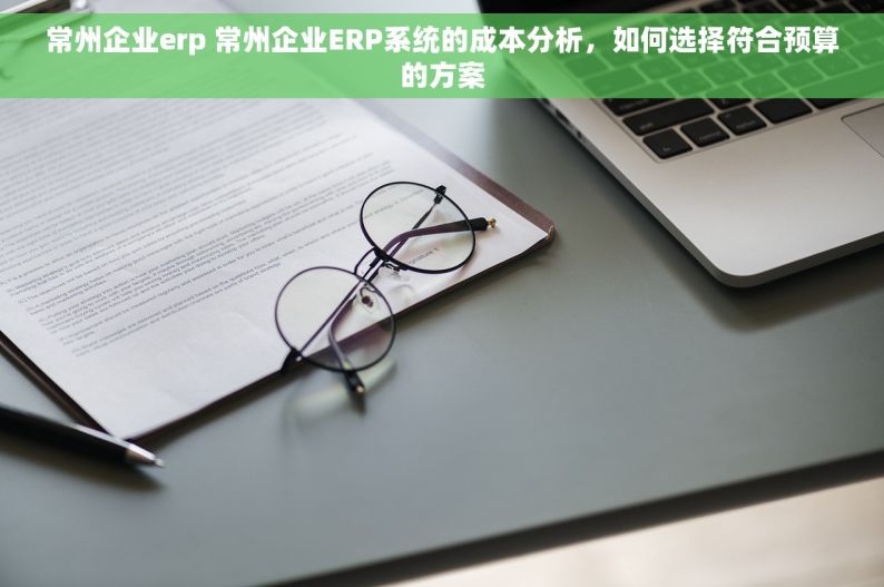 常州企业erp 常州企业ERP系统的成本分析，如何选择符合预算的方案