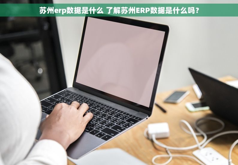 苏州erp数据是什么 了解苏州ERP数据是什么吗？
