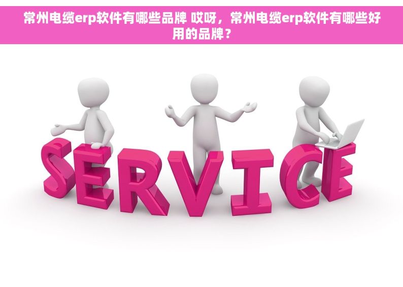 常州电缆erp软件有哪些品牌 哎呀，常州电缆erp软件有哪些好用的品牌？