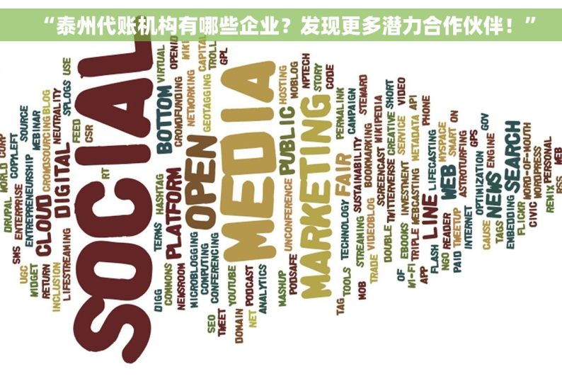 “泰州代账机构有哪些企业？发现更多潜力合作伙伴！”