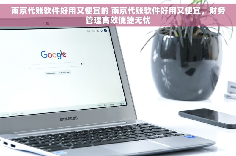 南京代账软件好用又便宜的 南京代账软件好用又便宜，财务管理高效便捷无忧