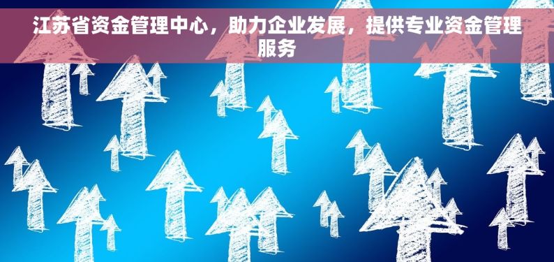 江苏省资金管理中心，助力企业发展，提供专业资金管理服务