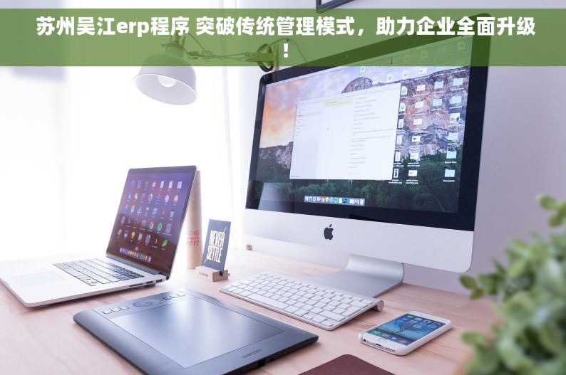 苏州吴江erp程序 突破传统管理模式，助力企业全面升级！