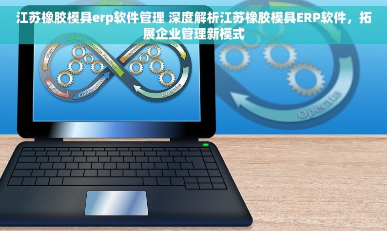 江苏橡胶模具erp软件管理 深度解析江苏橡胶模具ERP软件，拓展企业管理新模式