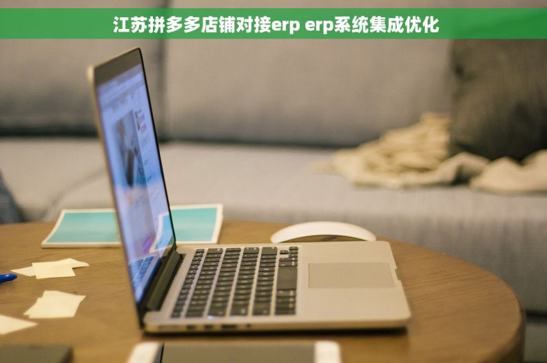  江苏拼多多店铺对接erp erp系统集成优化