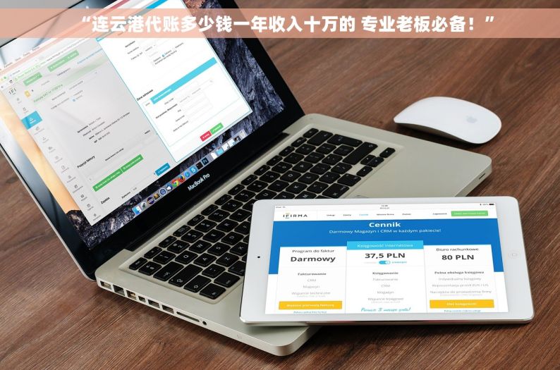 “连云港代账多少钱一年收入十万的 专业老板必备！”