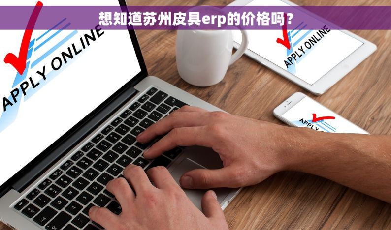 想知道苏州皮具erp的价格吗？