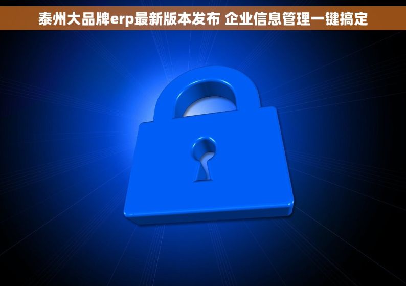 泰州大品牌erp最新版本发布 企业信息管理一键搞定