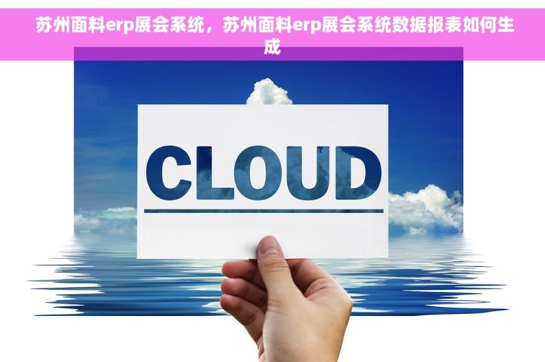  苏州面料erp展会系统，苏州面料erp展会系统数据报表如何生成