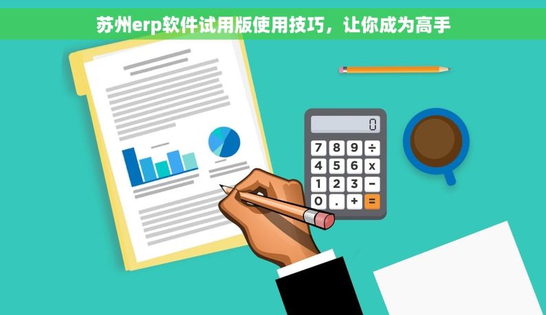 苏州erp软件试用版使用技巧，让你成为高手