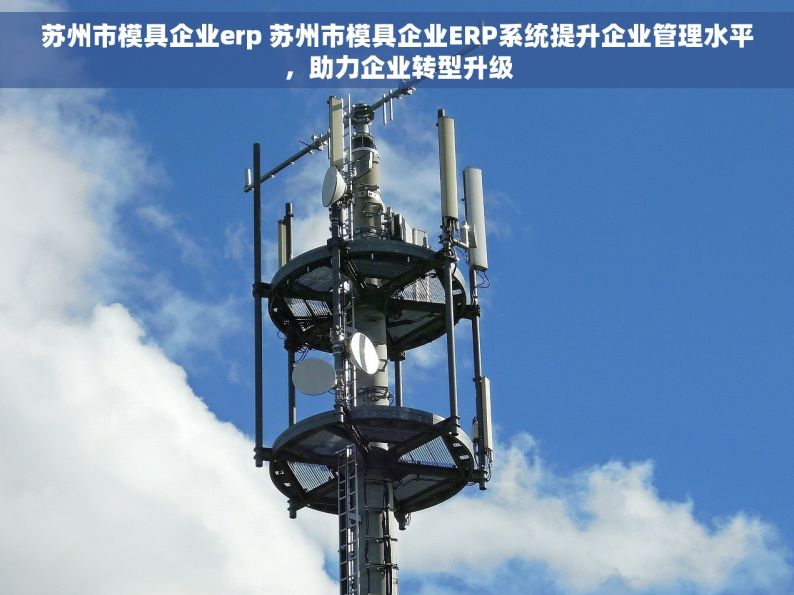 苏州市模具企业erp 苏州市模具企业ERP系统提升企业管理水平，助力企业转型升级