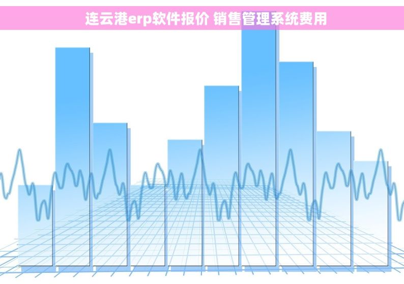  连云港erp软件报价 销售管理系统费用
