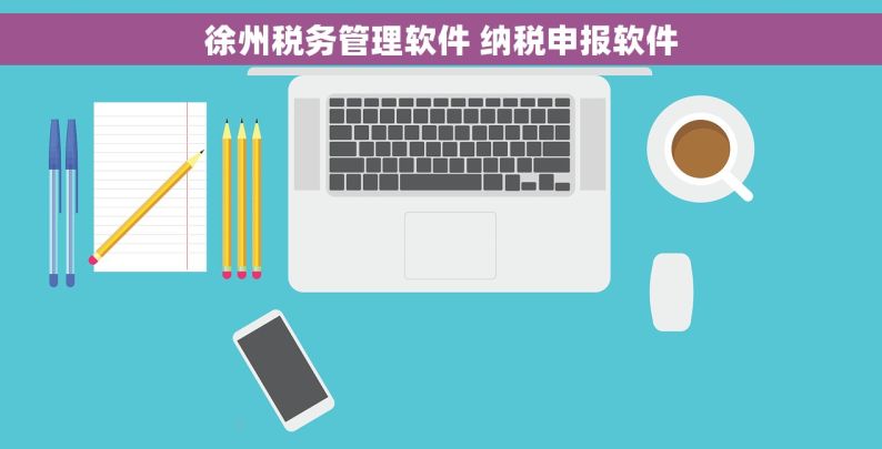 徐州税务管理软件 纳税申报软件