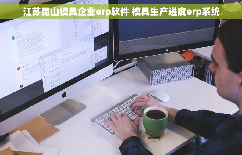江苏昆山模具企业erp软件 模具生产进度erp系统