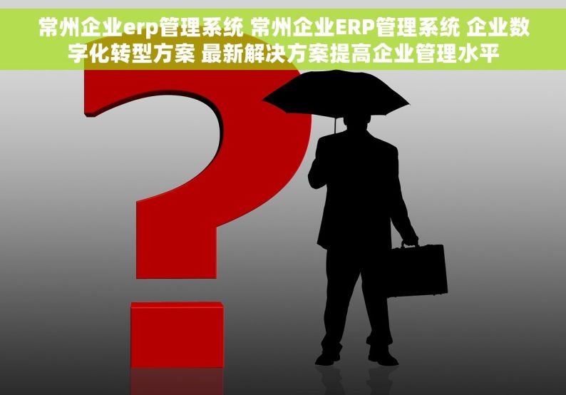常州企业erp管理系统 常州企业ERP管理系统 企业数字化转型方案 最新解决方案提高企业管理水平