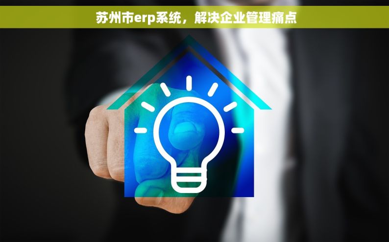  苏州市erp系统，解决企业管理痛点