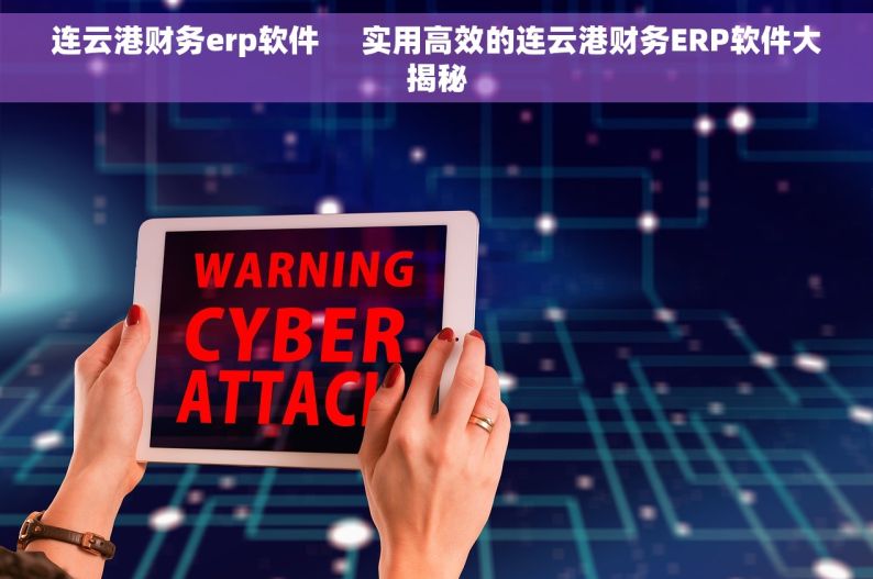 连云港财务erp软件     实用高效的连云港财务ERP软件大揭秘
