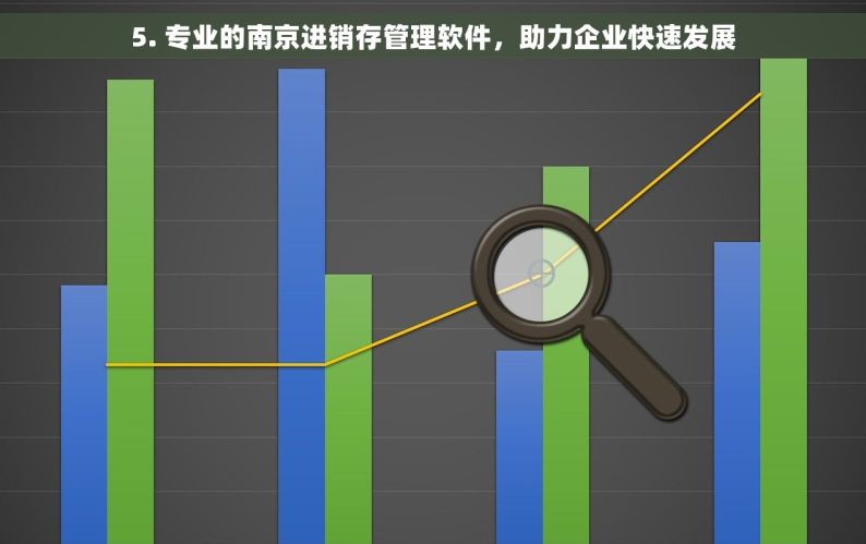 5. 专业的南京进销存管理软件，助力企业快速发展