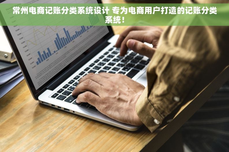 常州电商记账分类系统设计 专为电商用户打造的记账分类系统！